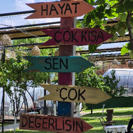 ogretmenbnje32