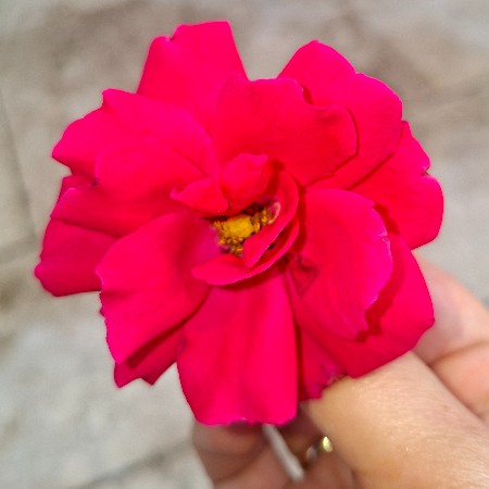 ogretmenrotkm2