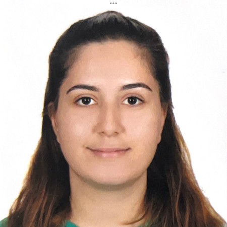 ogretmena5y4p2