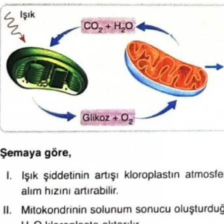 biyolojii