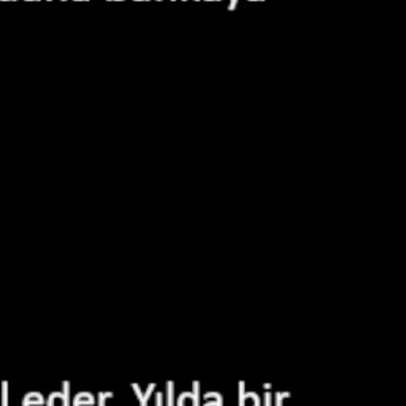 ogretmenzrd951