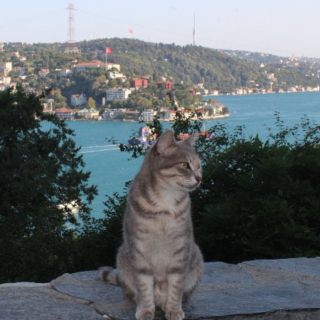 ogretmeni91o22