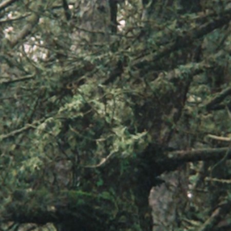 ogretmenmf51e9