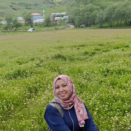 ogretmen8asfog